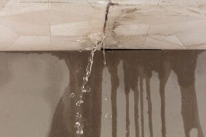 roof leak repair