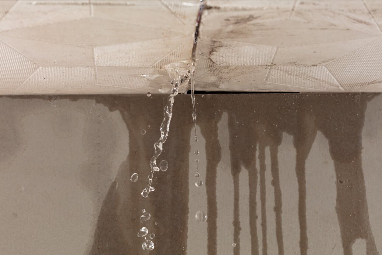 roof leak repair