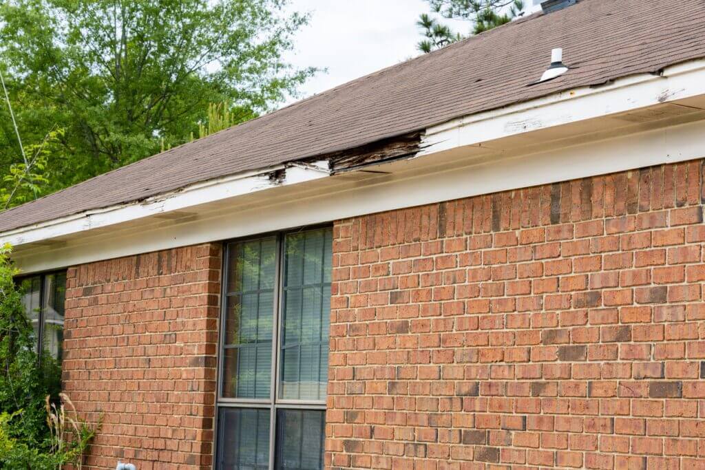 Common Causes of Soffit and Fascia Damage