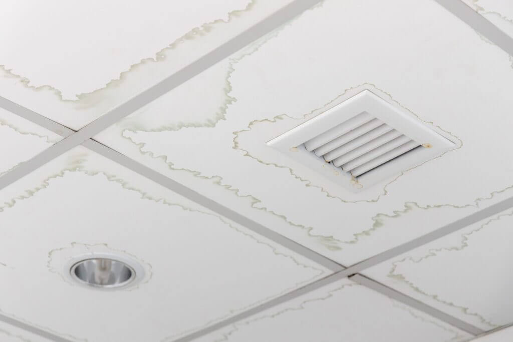 Signs of a Leaking Roof