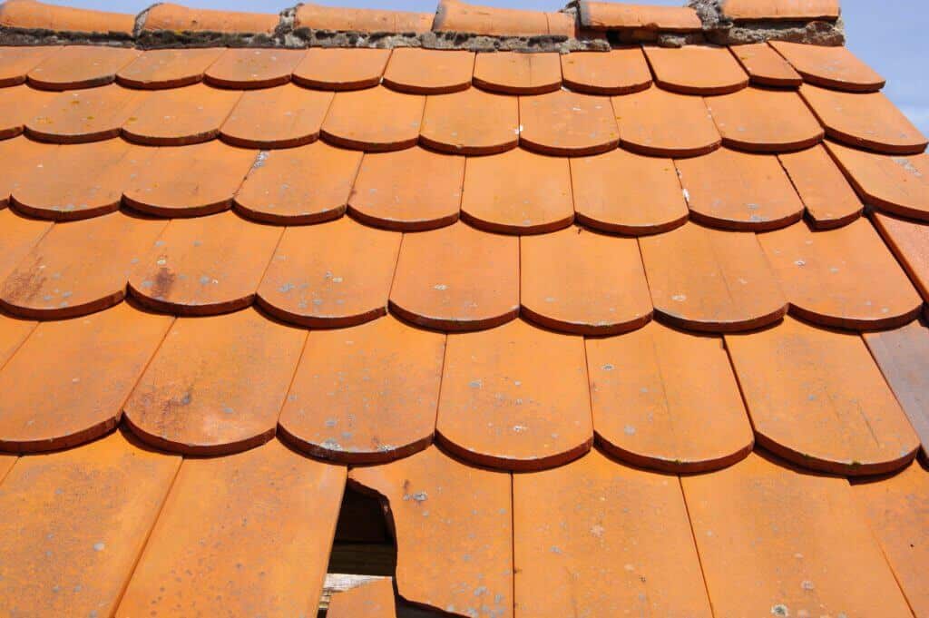 Signs You Need a Roof Repair
