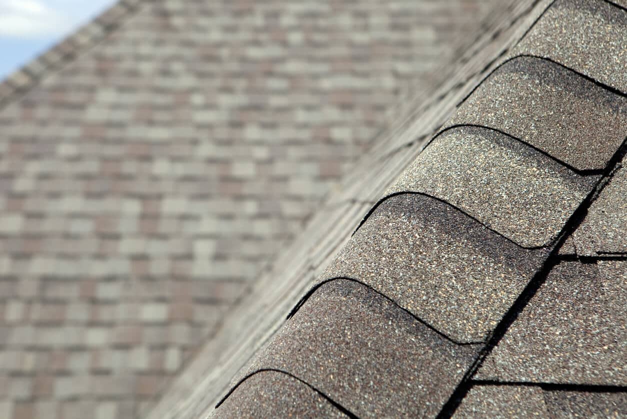 shingle roof replacement