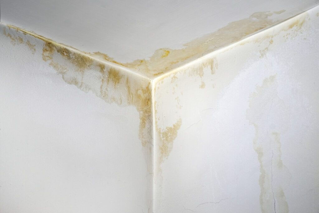 Signs You Have a Chimney Leak