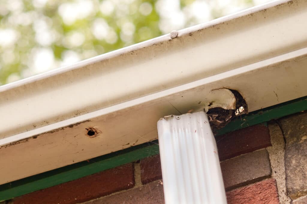 Gutter and Roof Repair Near Me: Signs You Need Repair Services